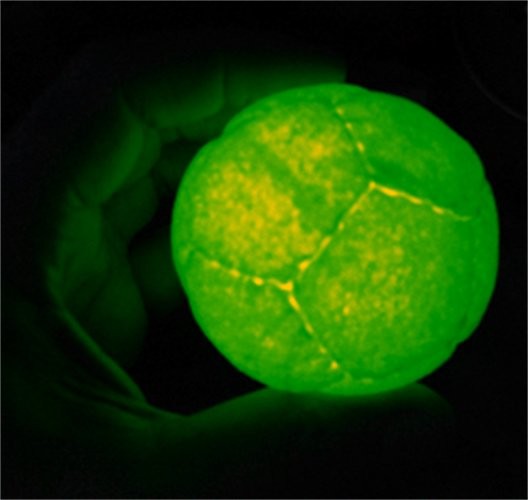 LED ball - 12 Panel beanbag/footbag